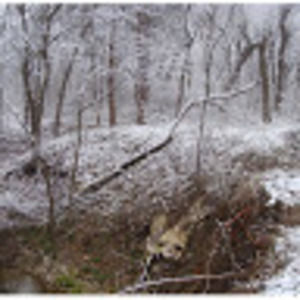 Meet your Posher, Deanna